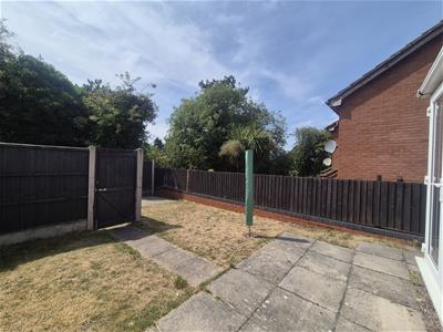 Picture 14